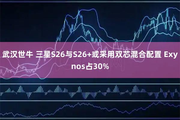武汉世牛 三星S26与S26+或采用双芯混合配置 Exynos占30%