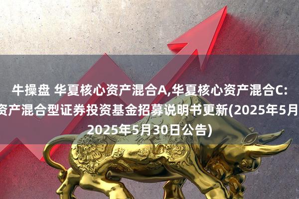 牛操盘 华夏核心资产混合A,华夏核心资产混合C: 华夏核心资产混合型证券投资基金招募说明书更新(2025年5月30日公告)